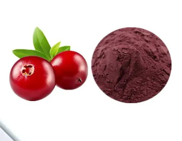 04 Cranberry P.E.