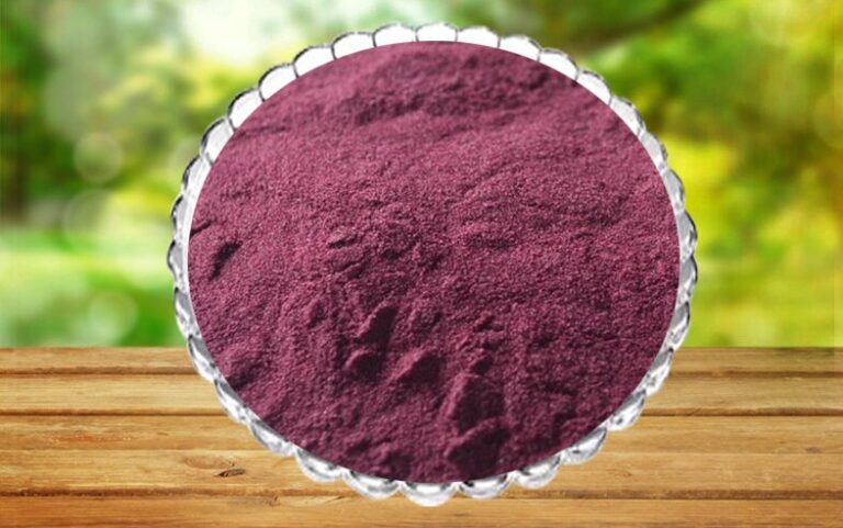 05 Blackcurrant Fruit Extract