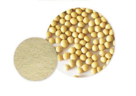 06 Phosphatidylserine