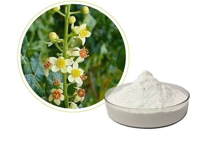 07 Boswellia extract