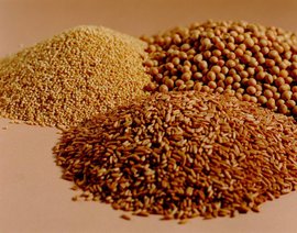 07 Flax Seed P