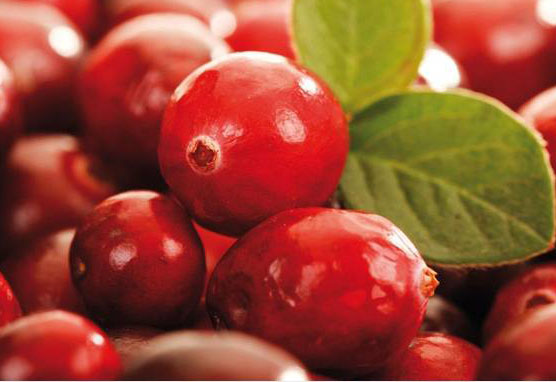 10 Cranberry Softgel