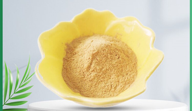 13 Epimedium Extract