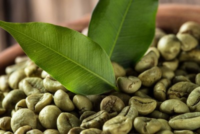 14 Green Coffee Bean P