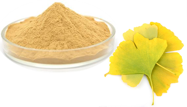 16 Ginkgo Biloba Extract