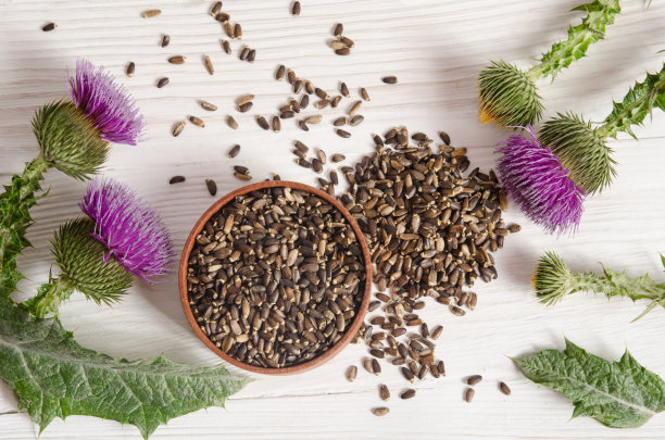 16 Milk Thistle P