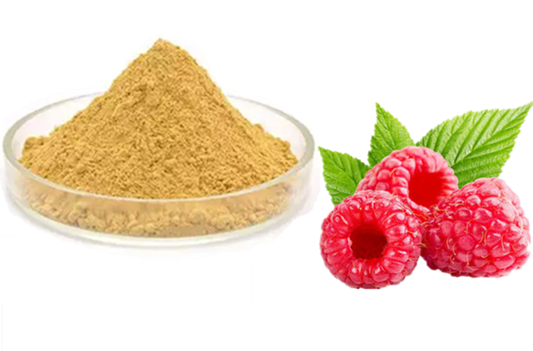17 Raspberry P