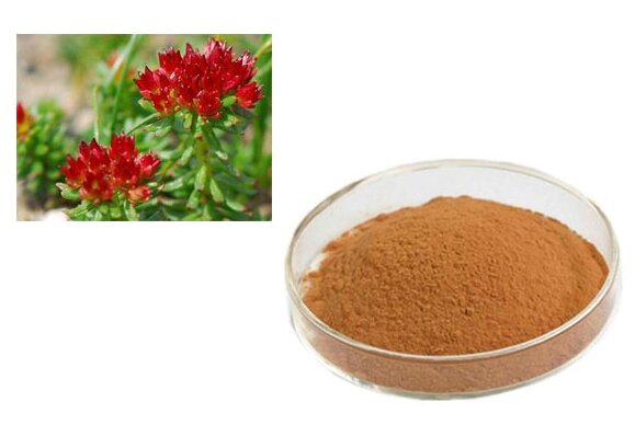20 Rhodiola Rosea P