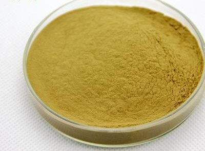 21 Hibiscus Flower Extract