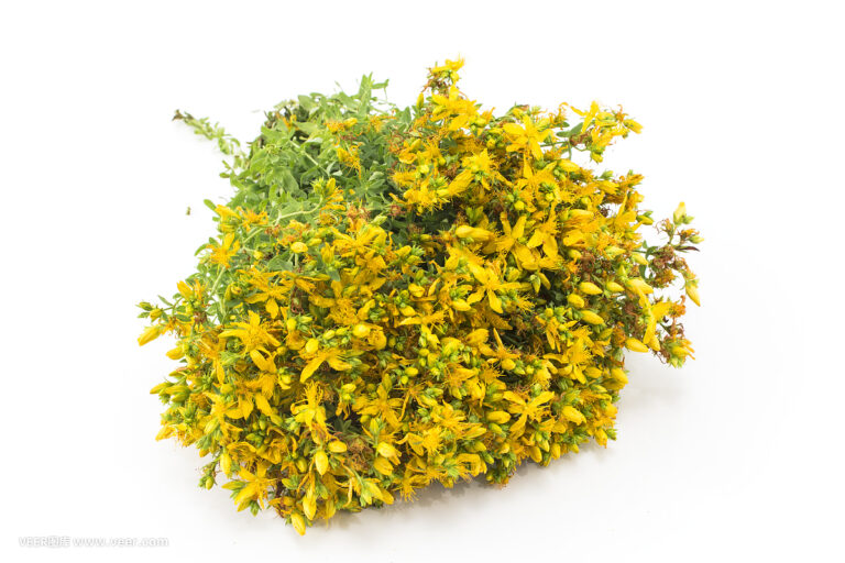 23 St.John's Wort P
