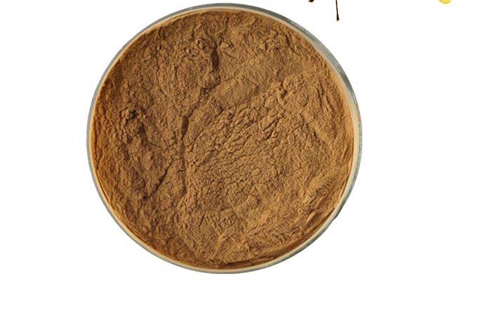 28 Ginkgo Biloba P.E