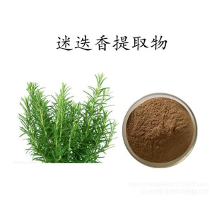 30 Rosemary Extract